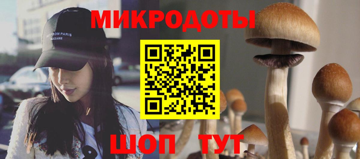 Краснознаменск  Псилоцибиновые грибы Magic Shrooms  Вход с VPN 