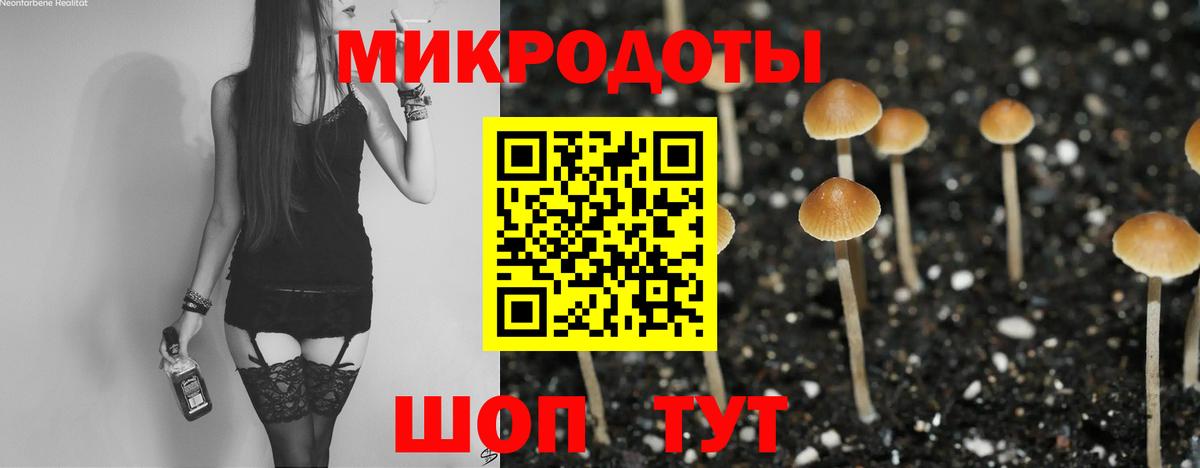 Псилоцибиновые грибы Psilocybine cubensis Краснознаменск