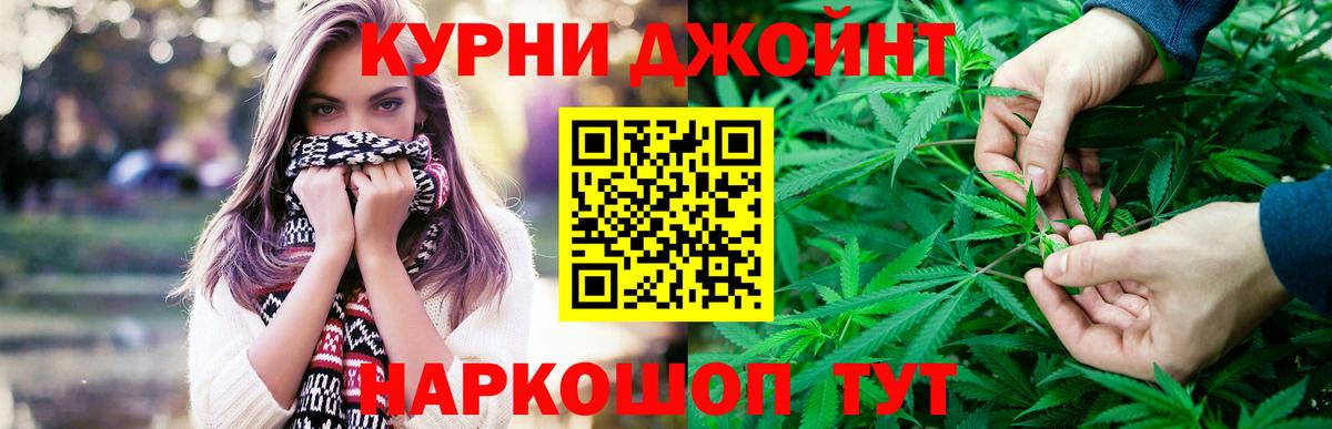 Бошки Шишки сатива  Вход с VPN  Конопля план  МАРИХУАНА ГИДРОПОН  Краснознаменск 